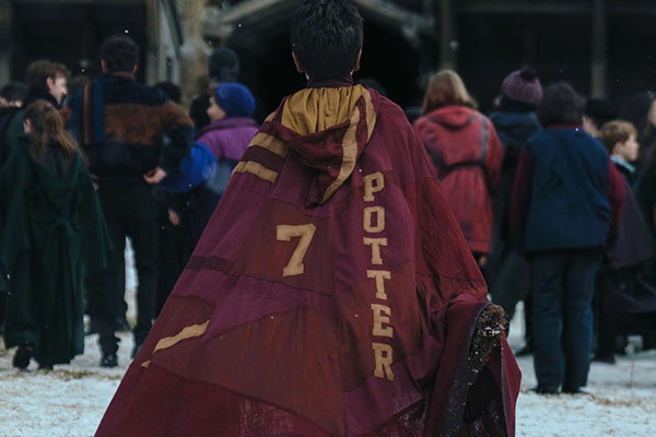 I'll Show You My Harry Potter